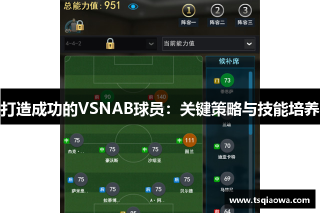 打造成功的VSNAB球员：关键策略与技能培养